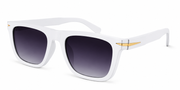 AriesOne™ DualVision glass PG